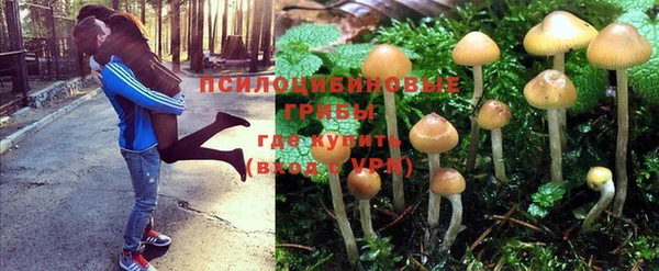 ALPHA-PVP Армянск