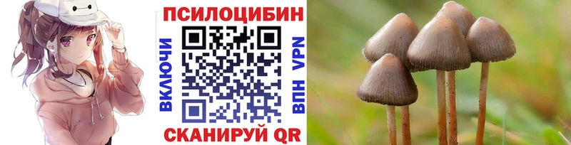 Галлюциногенные грибы GOLDEN TEACHER Спасск-Рязанский